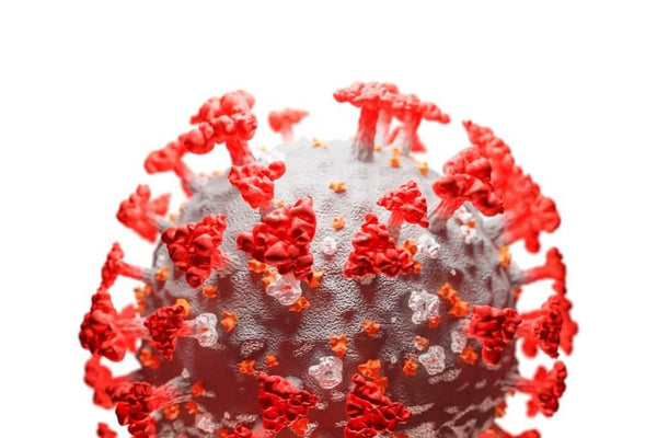 COVID-19 - Navigating the Uncharted